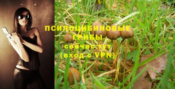 винт Надым
