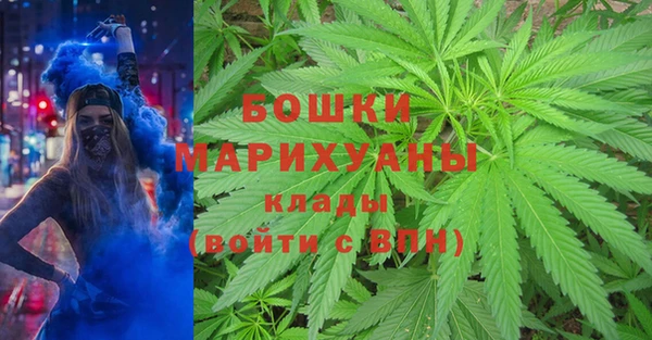 спайс Гусев