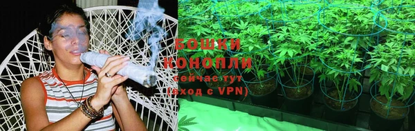 молекула духа Вязьма