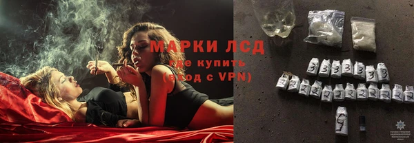 прущие грибы Бабаево
