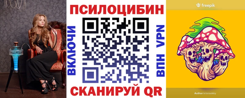 купить   Енисейск  Псилоцибиновые грибы Psilocybine cubensis 